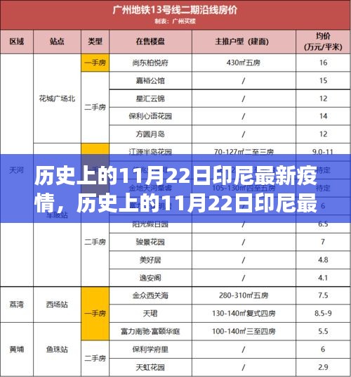 历史上的11月22日印尼疫情全面解读与最新数据报告