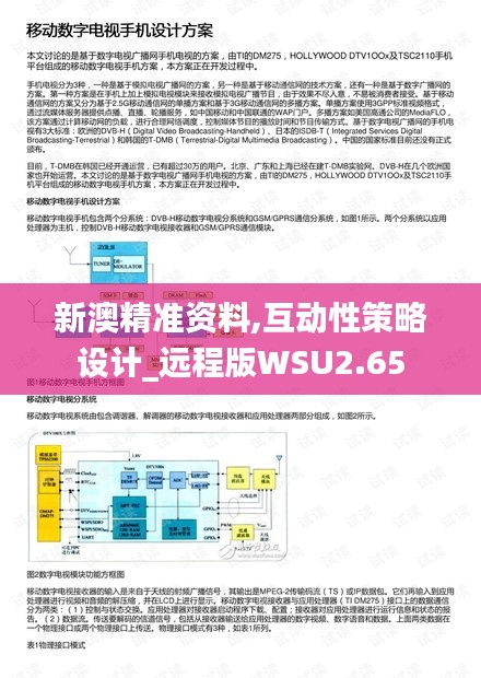新澳精准资料,互动性策略设计_远程版WSU2.65