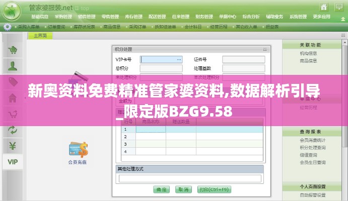 新奥资料免费精准管家婆资料,数据解析引导_限定版BZG9.58