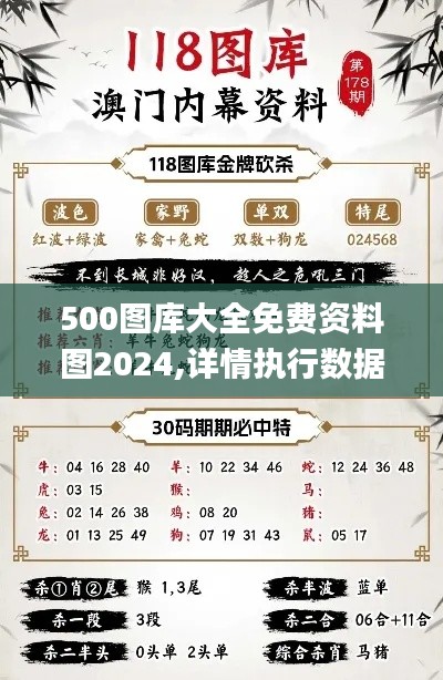 500图库大全免费资料图2024,详情执行数据安援_PhabletKYS9.31