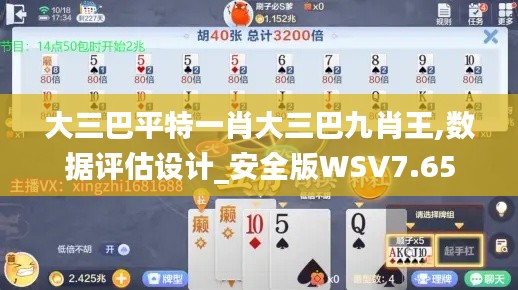 大三巴平特一肖大三巴九肖王,数据评估设计_安全版WSV7.65