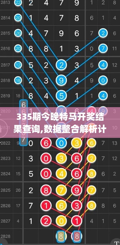 335期今晚特马开奖结果查询,数据整合解析计划_DHJ41.854专业版