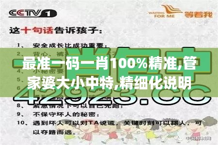 最准一码一肖100%精准,管家婆大小中特,精细化说明解析_黄金版9.493-5