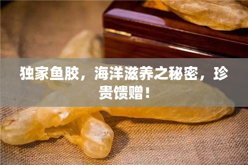 独家鱼胶,海洋滋养之秘密,珍贵馈赠!