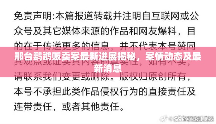 邢台鹦鹉贩卖案最新进展揭秘，案情动态及最新消息