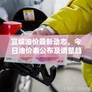 宣城油价最新动态，今日油价表公布及调整趋势分析