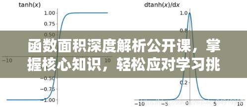 函数面积深度解析公开课，掌握核心知识，轻松应对学习挑战！
