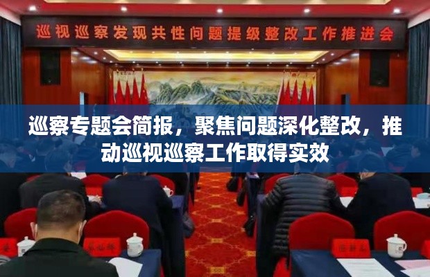 巡察专题会简报，聚焦问题深化整改，推动巡视巡察工作取得实效