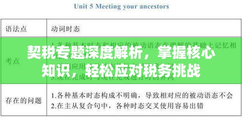契税专题深度解析，掌握核心知识，轻松应对税务挑战