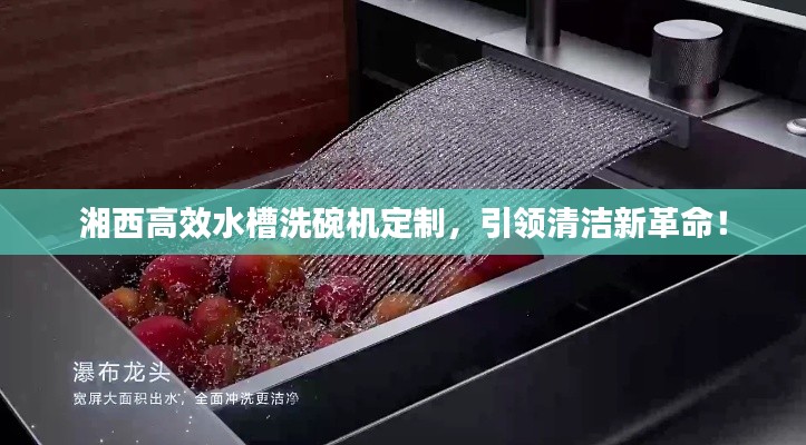湘西高效水槽洗碗机定制，引领清洁新革命！