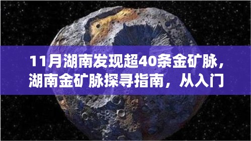 第3065页