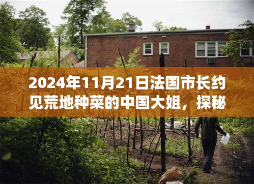 荒地上的美食奇缘，法国市长与中国大姐的种菜美食之旅
