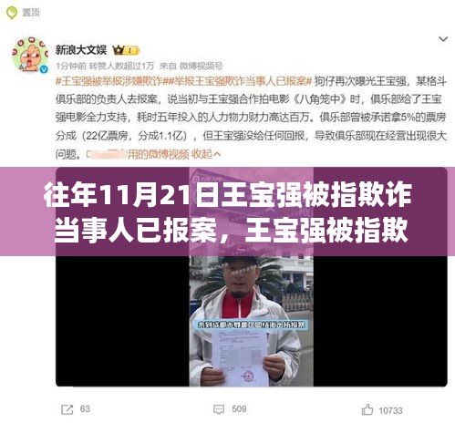 王宝强欺诈事件全面解析，涉案细节、竞品对比与目标用户群体分析