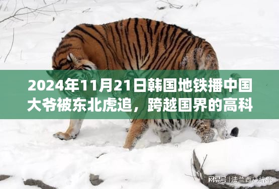 韩国地铁智能追踪系统，东北虎追大爷背后的跨国科技体验
