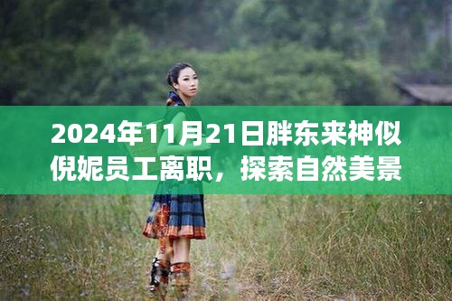 胖东来员工离职启示，寻找内心平静之旅与探索自然美景的启示