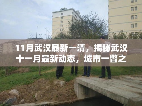 11月武汉最新一清，揭秘武汉十一月最新动态，城市一瞥之全新一清
