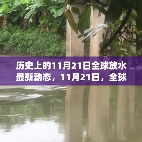 历史上的11月21日全球放水最新动态，11月21日，全球放水日的温馨故事，桥下的友谊与水的魔法
