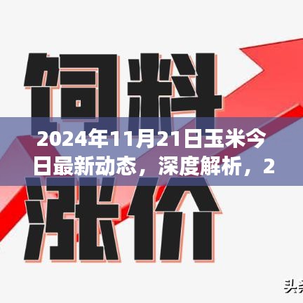 2024年11月21日玉米市场深度解析与全面评测