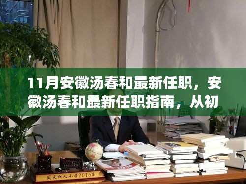 安徽汤春和11月最新任职全解析，从初识到完成任职的实用指南