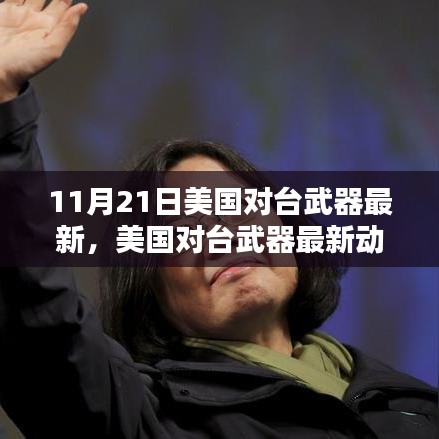 11月21日美国对台武器最新，美国对台武器最新动态解析，如何跟进与理解相关动态（初学者与进阶用户指南）
