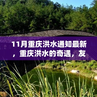 重庆洪水奇遇，友情与家的温暖——最新洪水通知揭秘