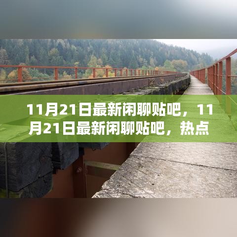 11月21日最新闲聊贴吧，热点话题全掌握