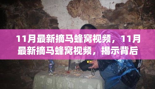 揭秘，最新摘马蜂窝视频背后的真相与争议