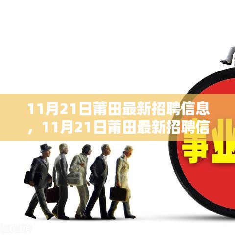 11月21日莆田最新招聘信息全面解析与介绍