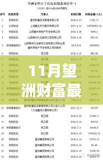 望洲财富最新公告深度解析，背景、重大事件与领域地位揭秘
