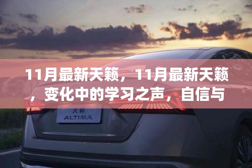 11月最新天籁，变化中的学习之声，自信与成就感的旋律展现