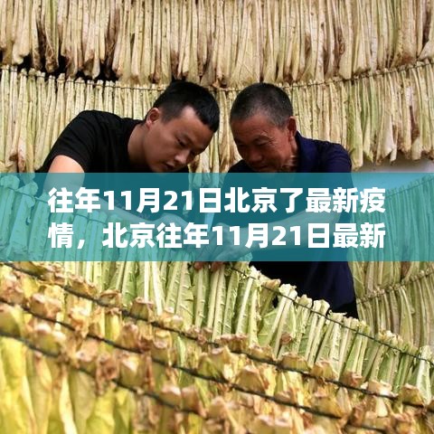 北京往年11月21日疫情最新动态，深度分析与解读观点