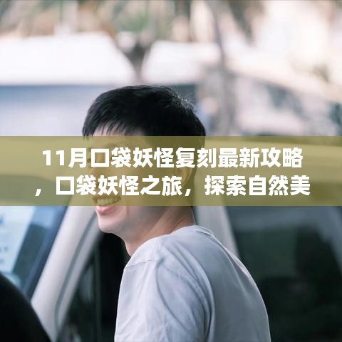 11月口袋妖怪复刻攻略，启程探索自然美景，寻找内心宁静