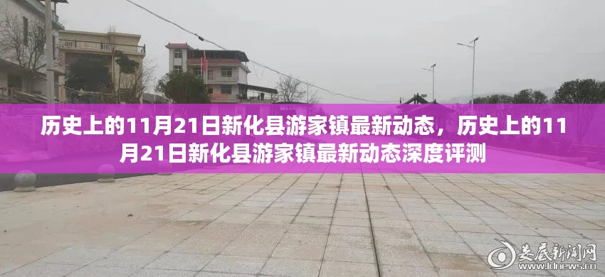 历史上的11月21日新化县游家镇最新动态及深度评测报告