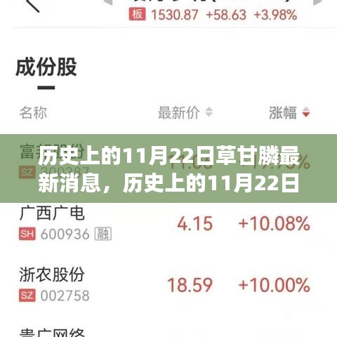 历史上的11月22日草甘膦最新进展解读与消息概览