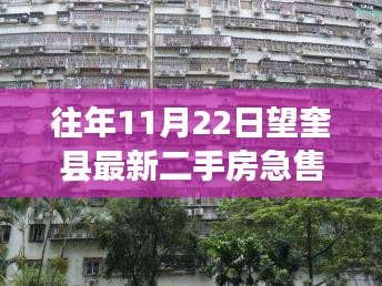 往年11月22日望奎县二手房市场急售房源解析与最新房源信息速递