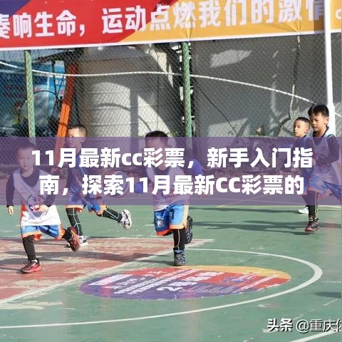 新手入门指南，探索11月最新CC彩票娱乐玩法（警惕风险，避免沉迷违法犯罪）