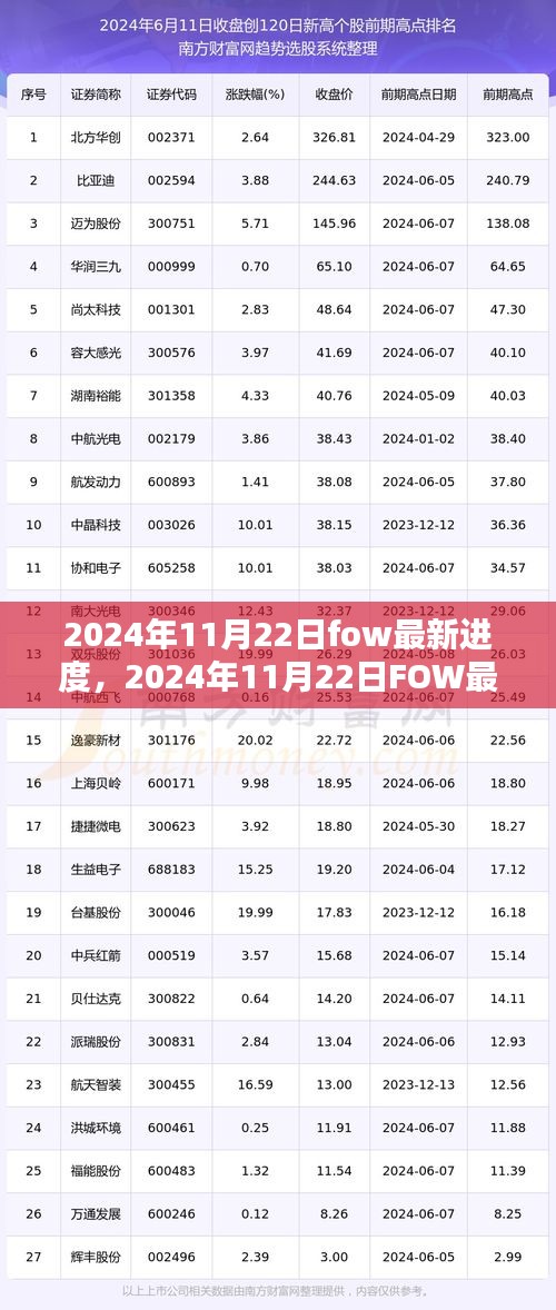 2024年11月22日FOW最新进度全面解析