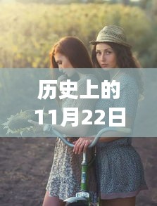 历史上的11月22日乌克兰SOFI人体研究最新进展揭秘