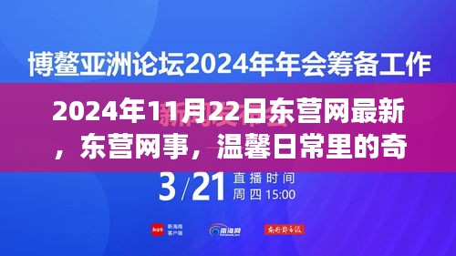 2024年11月22日东营网最新，东营网事，温馨日常里的奇妙际遇