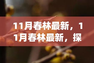 11月春林新探，季节交替的生机与活力