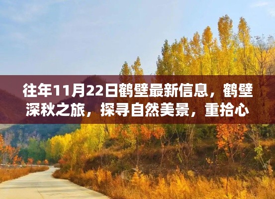 往年11月22日鹤壁最新资讯，深秋之旅探寻自然美景，重拾心灵宁静之旅