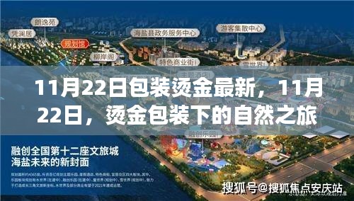 11月22日包装烫金最新，11月22日，烫金包装下的自然之旅，寻找心灵的静谧绿洲