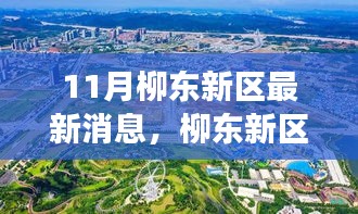柳东新区金秋十一月新篇章，背景、进展与影响最新消息