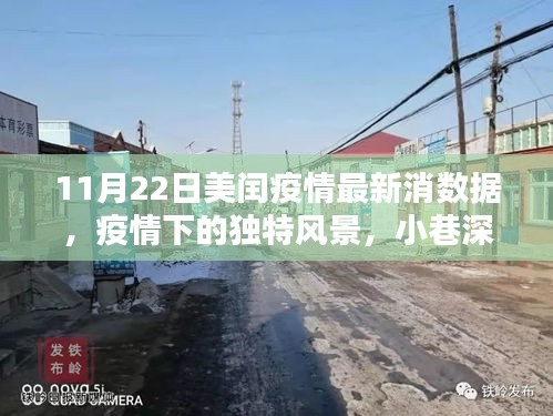 美闰疫情最新数据揭秘，小巷特色小店与疫情下的独特风景
