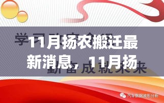11月扬农搬迁最新消息，11月扬农搬迁，变化中的学习，铸就自信与成就感的励志之旅