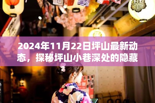 探秘坪山隐藏瑰宝，最新动态揭秘坪山小巷深处的秘密，2024年11月22日更新