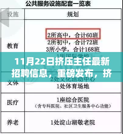 11月22日挤压主任最新招聘信息，重磅发布，挤压主任新招聘信息深度解析——探寻特定领域人才的新机遇