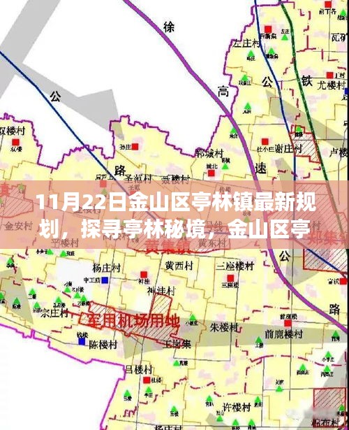 金山区亭林镇最新规划揭秘，探寻自然之旅的亭林秘境