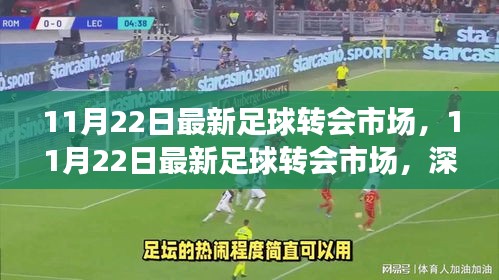 深度解析，最新足球转会市场动态与观点阐述