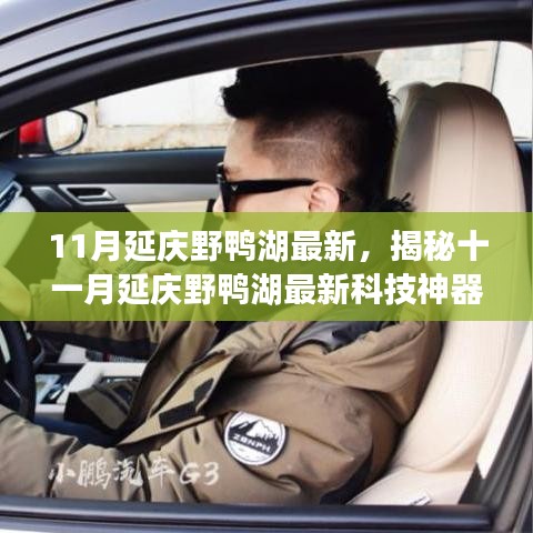 揭秘十一月延庆野鸭湖最新科技神器，智能之旅引领未来生活体验